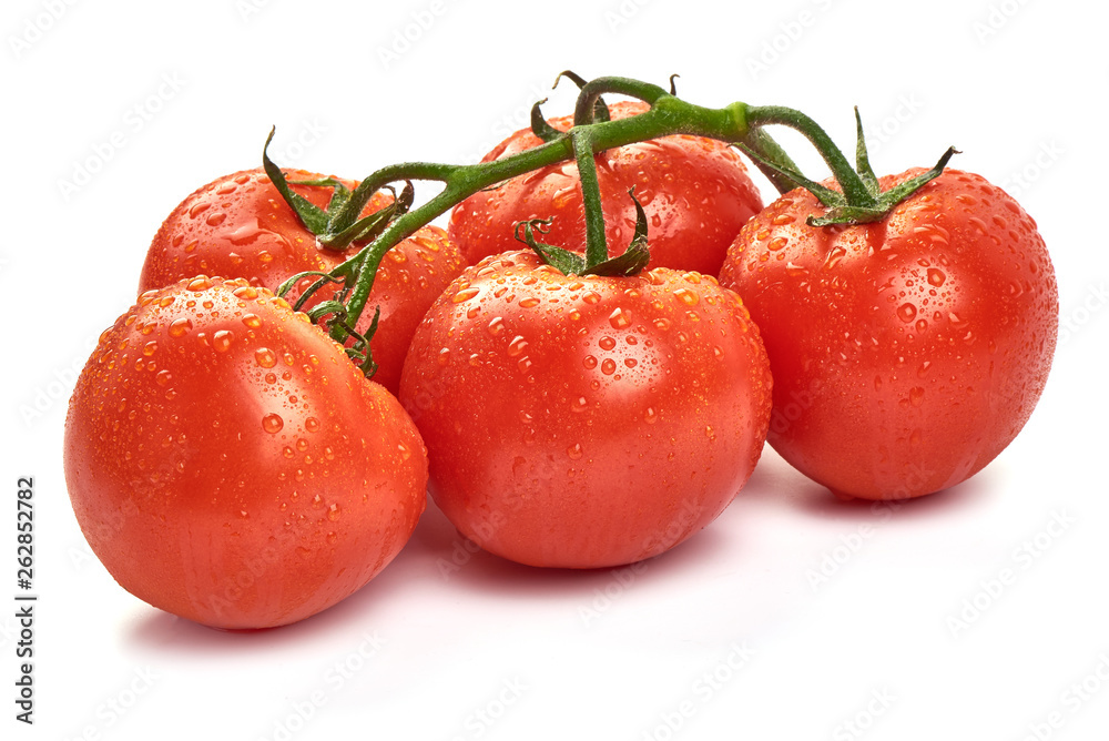 Tomato branch. Ripe fresh tomatoes with drops, close-up, isolated on white background Tomato branch. Ripe fresh tomatoes with drops, close-up, isolated on white background