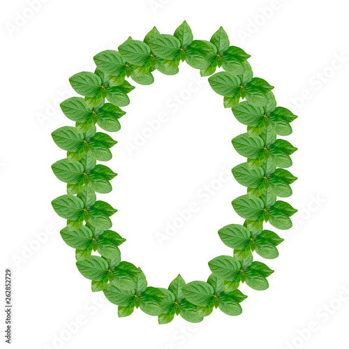 Obraz na płótnie Letter O made from green leaves of persimmon, alphabet on isolated white background w salonie
