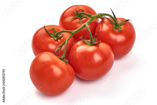 Tomato branch. Ripe fresh tomatoes, close-up, isolated on white background