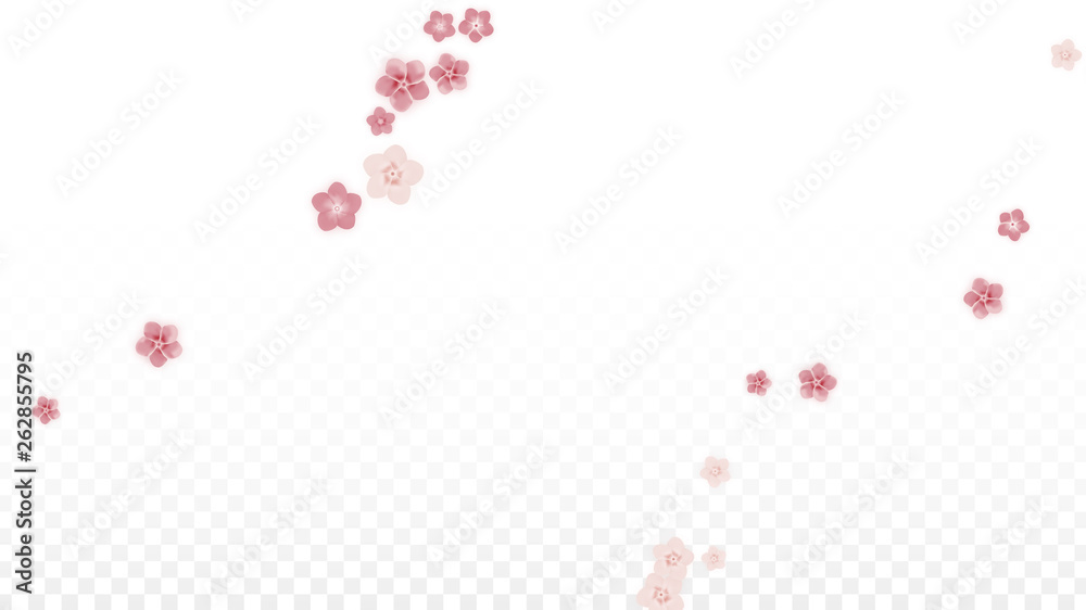 Vector Realistic Pink Flowers Falling on Transparent Background.  Spring Romantic Flowers Illustration. Flying Petals. Sakura Spa Design. Blossom Confetti. Design Elements for Wedding Decoration.