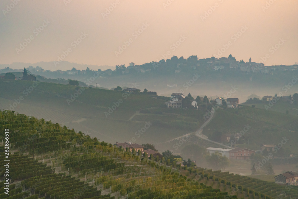 hills of vineyards in langhe region, barolo wine area, italy