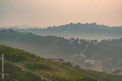 hills of vineyards in langhe region, barolo wine area, italy