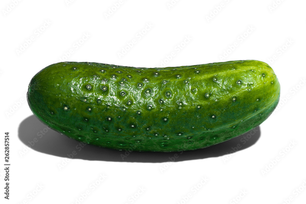 Ripe green cucumber on white background. Healthy eating and dieting concept Ripe green cucumber on white background. Healthy eating and dieting concept