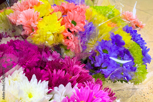 Multicolor chrysanthemums in a bouquet (close up)