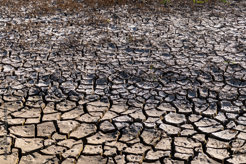 Fototapeta premium climate change and drought after global warming,