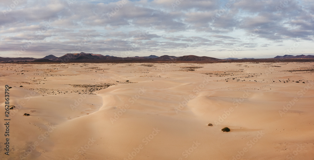 High angle, panoramic view of an empty desert at the sunrise with copy space
