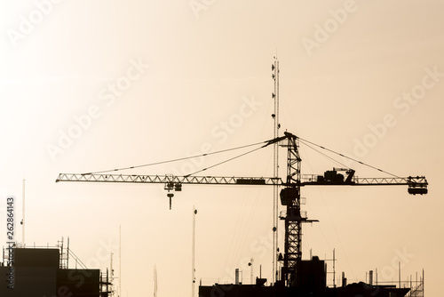 Print op canvas Silhouette of crane on site