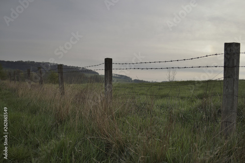 Landscape barbed wire fence posts in a field © Angela