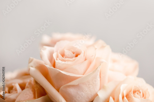 pale pink rose bouquet