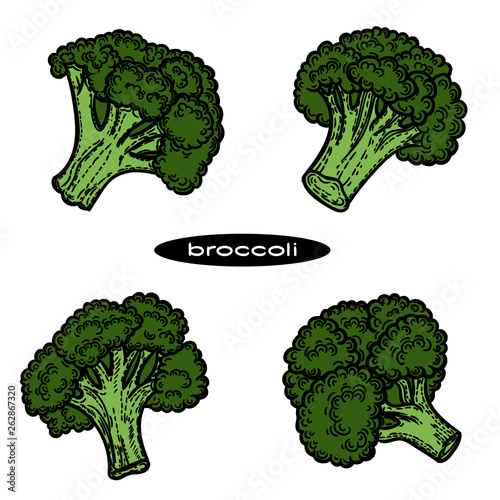 Vector hand drawn set of broccoli isolated on white white background.
