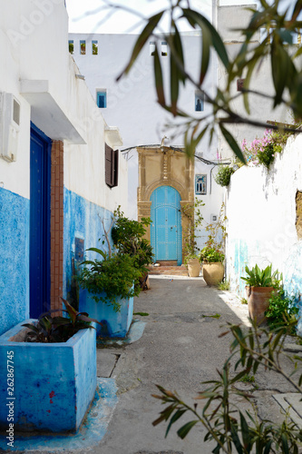 potted plants on alley amidst buildings