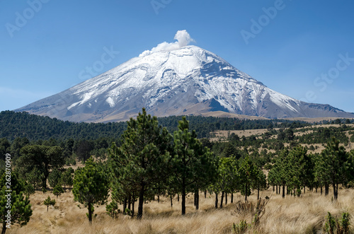 Pine woods and smoking volcano behind it photo