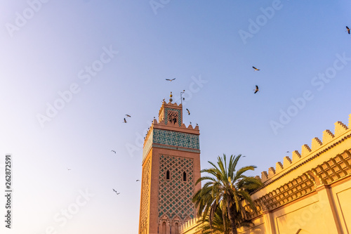 Huge flock of storks flying around the minaret of the kasbah mosque of Marrakech, Morocco