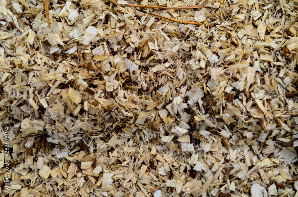 sawdust,mug background sawdust,mug background