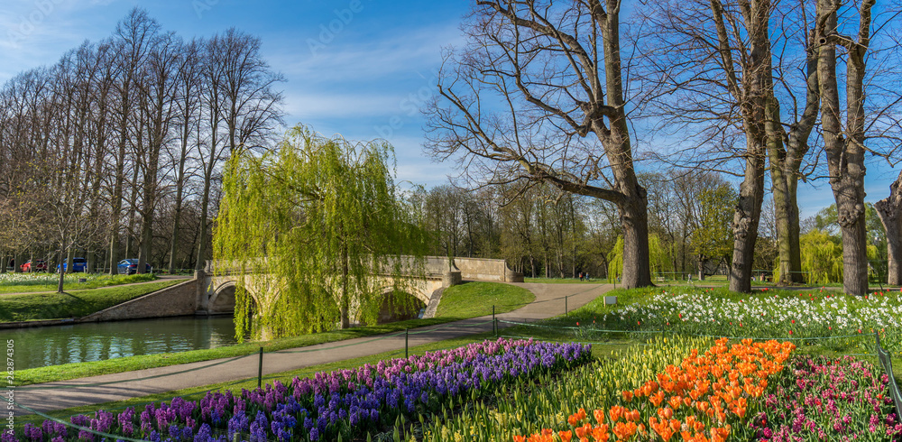 Obraz premium River Cam near Kings College in the city of Cambridge, United Kingdom and blooming flowers on the foreground