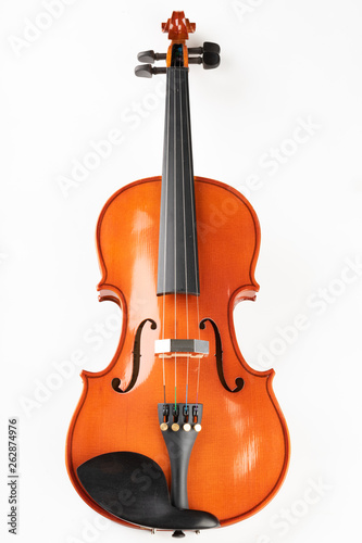 Violin and bow on a light background. A new stringed musical instrument.