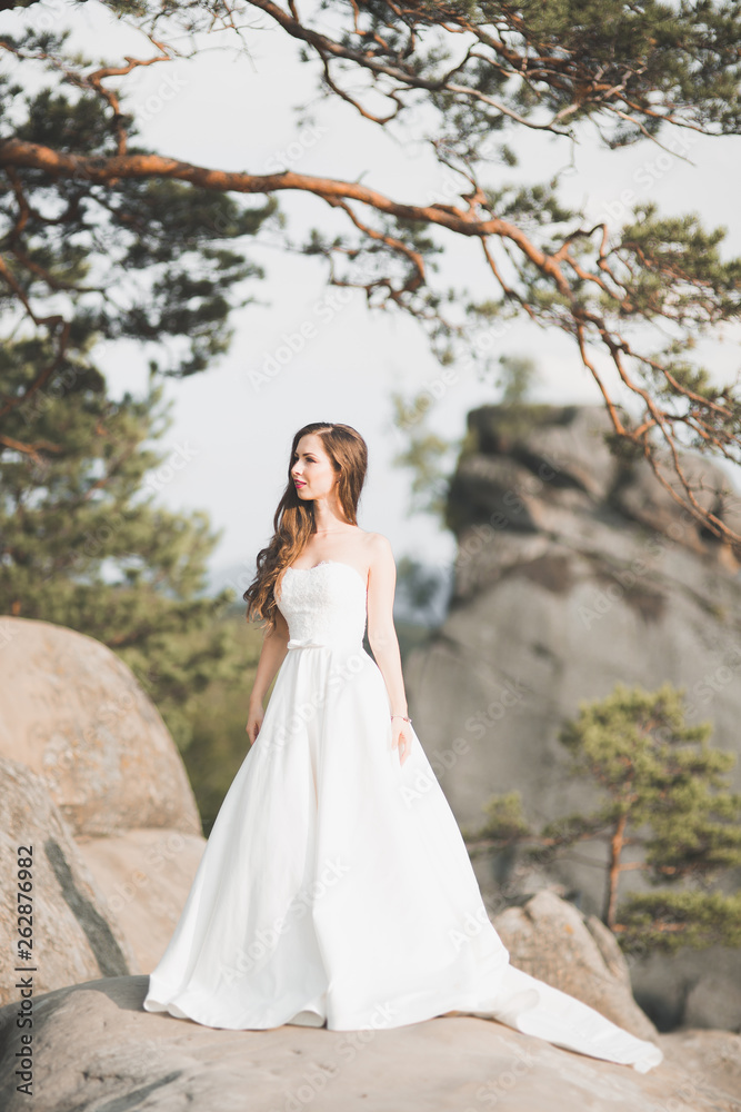 Beautiful bride posing near rocks against background the mountains