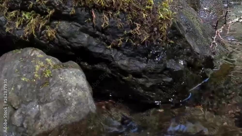 Water cascading over moss covered rocks in a mountain stream on a warm spring day Water cascading over moss covered rocks in a mountain stream on a warm spring day
