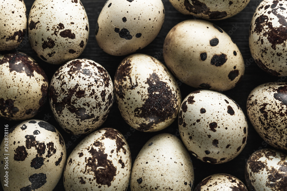 Quail eggs. Flat lay composition with small quail eggs on the black wooden background.