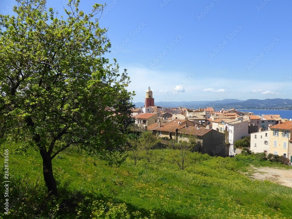 Saint-Tropez, panorama sur la ville avec un arbre et une pelouse verte au premier plan (France)
