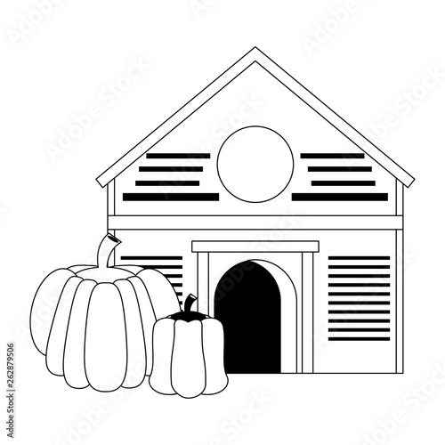 Farm with pumpkin and pepper in black and white