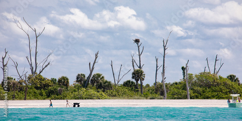 Sunbleached dead trees reach for the sky on a narrow key with sandy beach in the Gulf of Mexico near Englewood, Florida, USA, in early spring