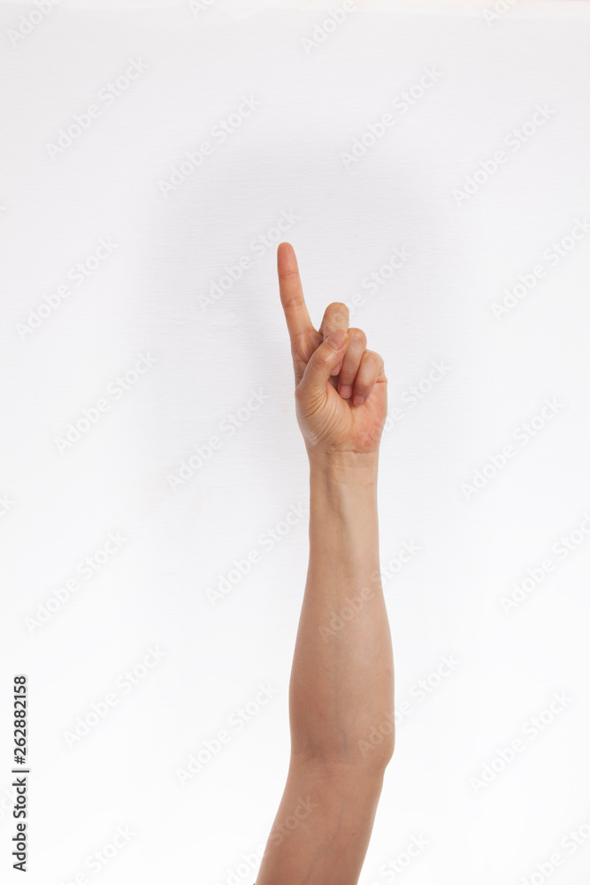 Fototapeta premium Isolated female hand on white background