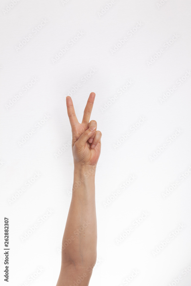 Isolated female hand on white background Isolated female hand on white background