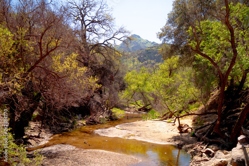 Malibu Creek State Park in California - travel photography photo