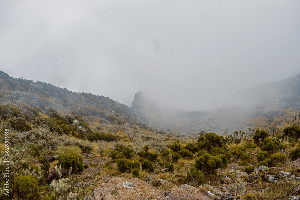 The volcanic rock formations at Aberdare Ranges, Kenya