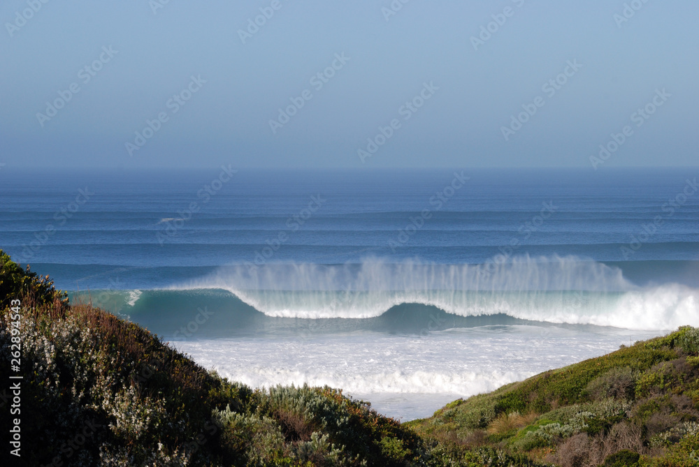 Obraz premium Cheviot Beach Surf