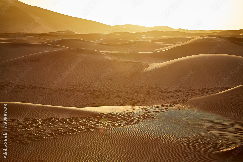 sunset desert sand dunes sahara