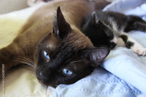father and son