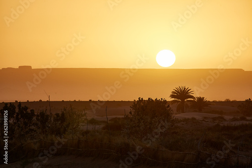 sunrise sahara morning desert oasis