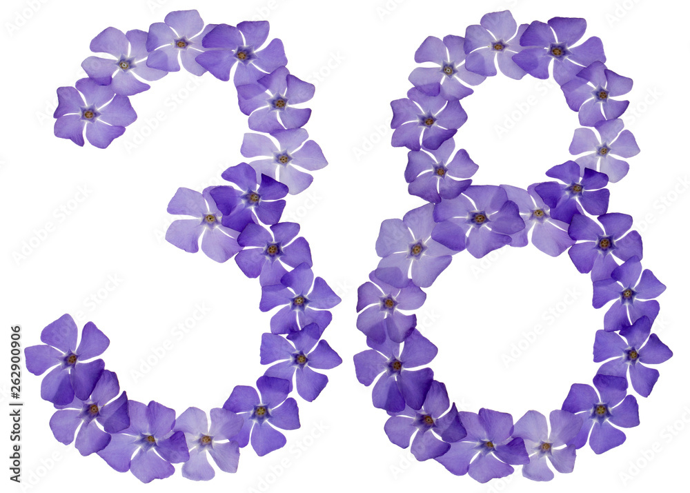 Numeral 38, thirty eight, from natural blue flowers of periwinkle, isolated on white background Numeral 38, thirty eight, from natural blue flowers of periwinkle, isolated on white background