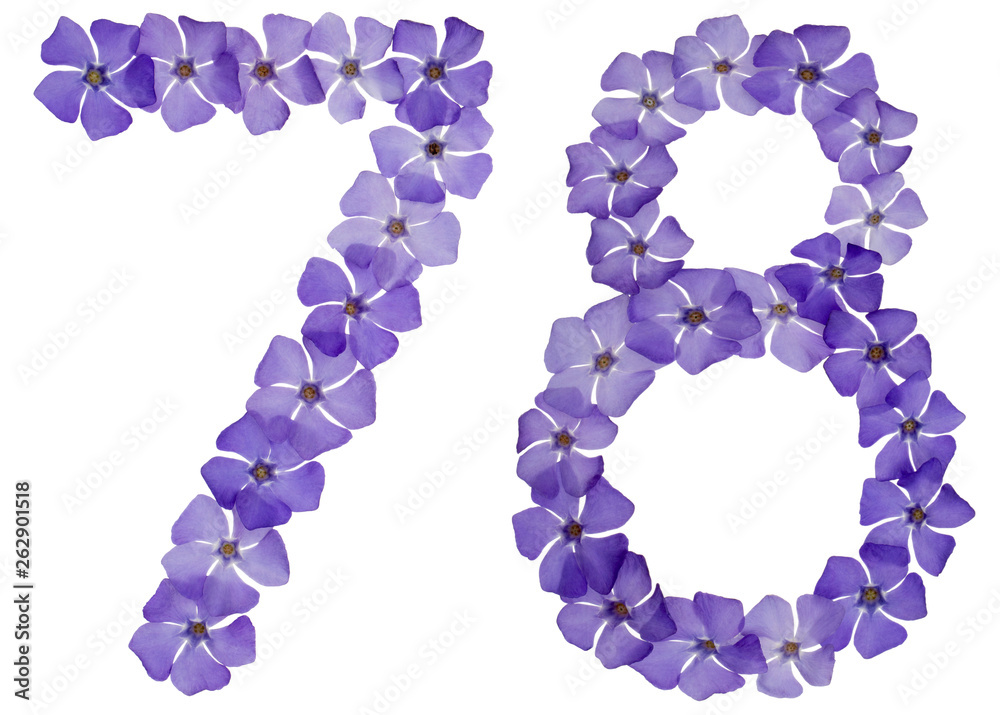 Numeral 78, seventy eight, from natural blue flowers of periwinkle, isolated on white background