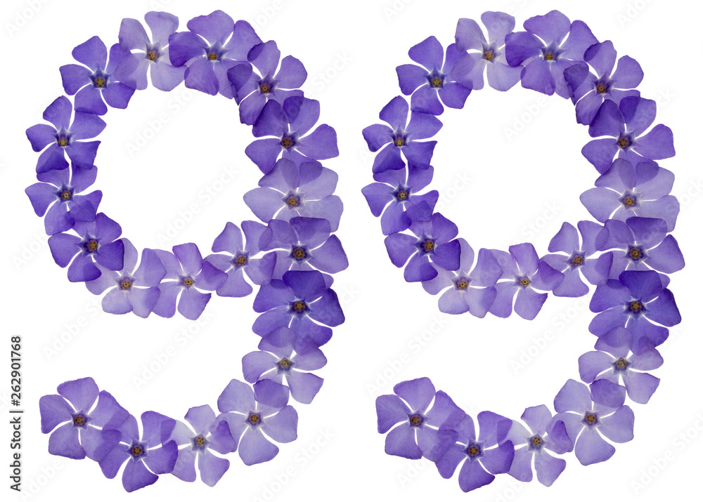 Numeral 99, ninety nine, from natural blue flowers of periwinkle, isolated on white background