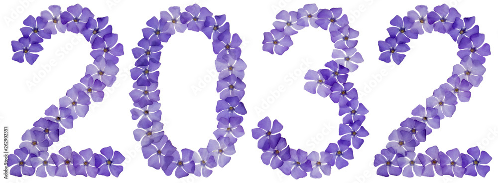 Inscription 2032, from natural blue flowers of periwinkle, isolated on white background