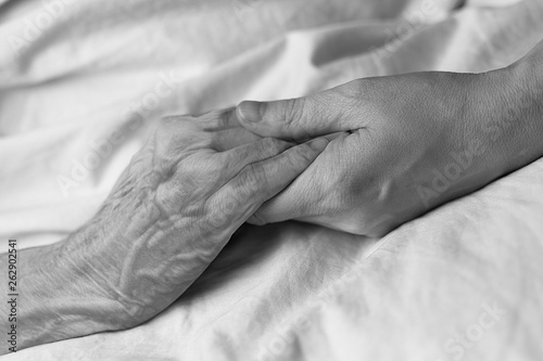 A young woman holding the hand of an old woman in a hospital bed, black and white photo