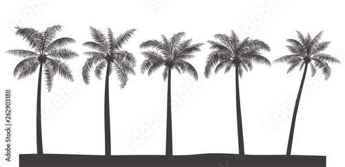 ヤシの木シルエット Stock ベクター Adobe Stock