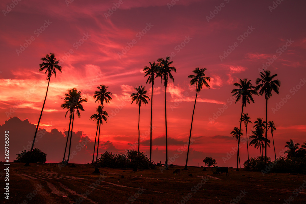 Obraz premium The background of the morning sunrise by the sea, with cows grazing and the twilight sky, blurred through the wind and a beautiful seaside tree
