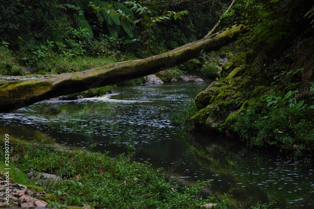 Obraz premium Rivers Dreamers