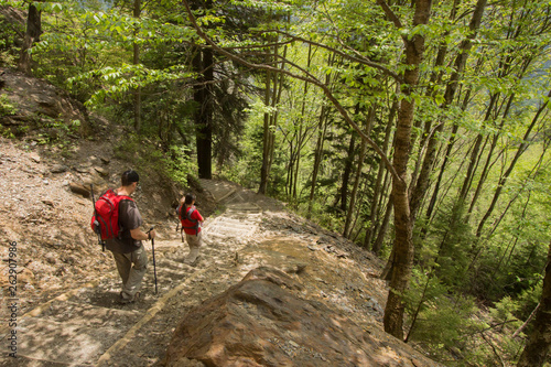 Alum Cave Trail Bluff - Great Smoky Mountains Tennessee - Appalachian Hiking