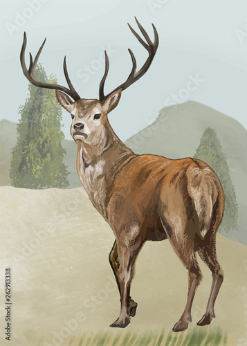 Hand drawn deer