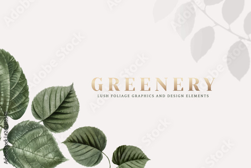 Greenery wallpaper
