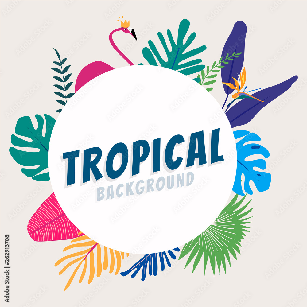 Tropical design space Tropical design space