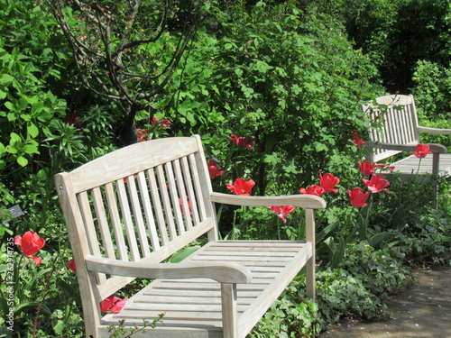 Springtime - Flower and garden bench