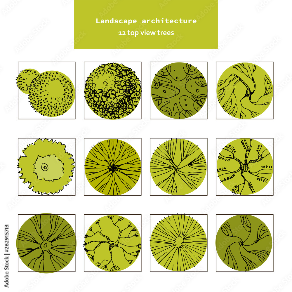 Top view vector set of different green trees.Hand drawn illustration for landscape design, plan, maps.Collection of trees, isolated on the white background. Top view vector set of different green trees.Hand drawn illustration for landscape design, plan, maps.Collection of trees, isolated on the white background.