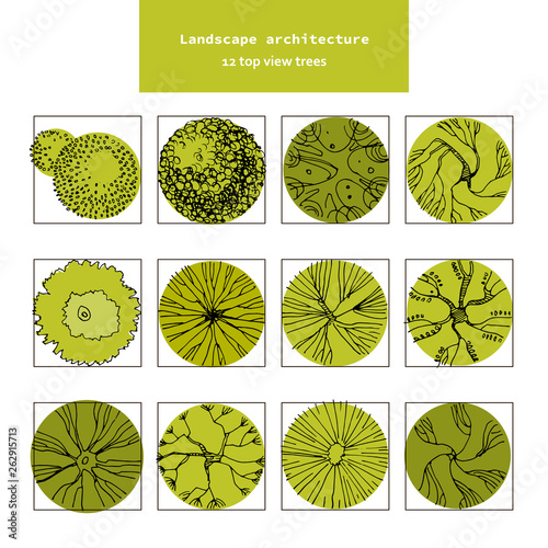 Top view vector set of different green trees.Hand drawn illustration for landscape design, plan, maps.Collection of trees, isolated on the white background.