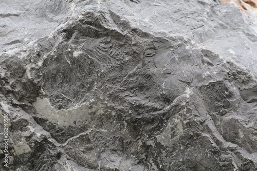 Stone Texture Closeup for background